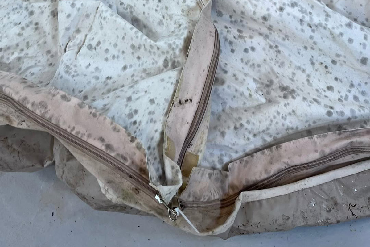 Remove mould from canvas bell tent Remove mould from canvas bell tent